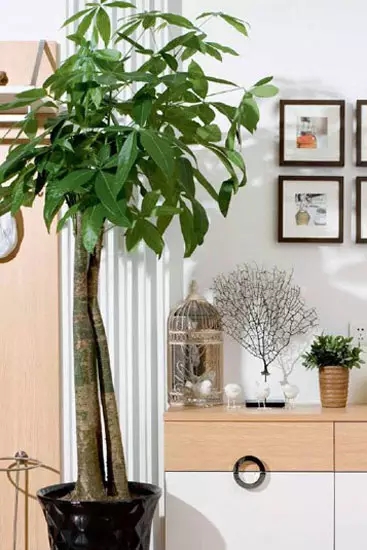 640.webp (6).jpg 640.webp (6).jpg