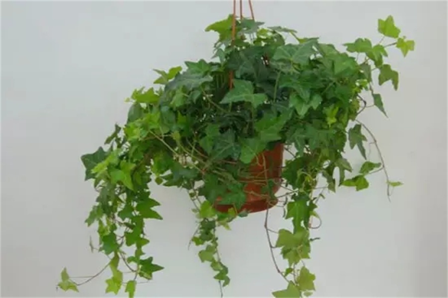 640.webp (7).jpg 640.webp (7).jpg