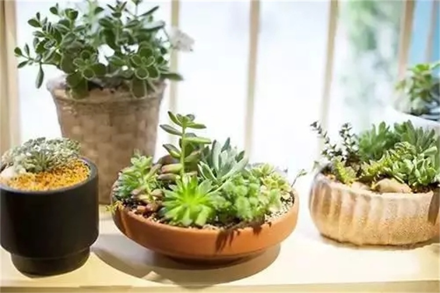 640.webp (4).jpg 640.webp (4).jpg