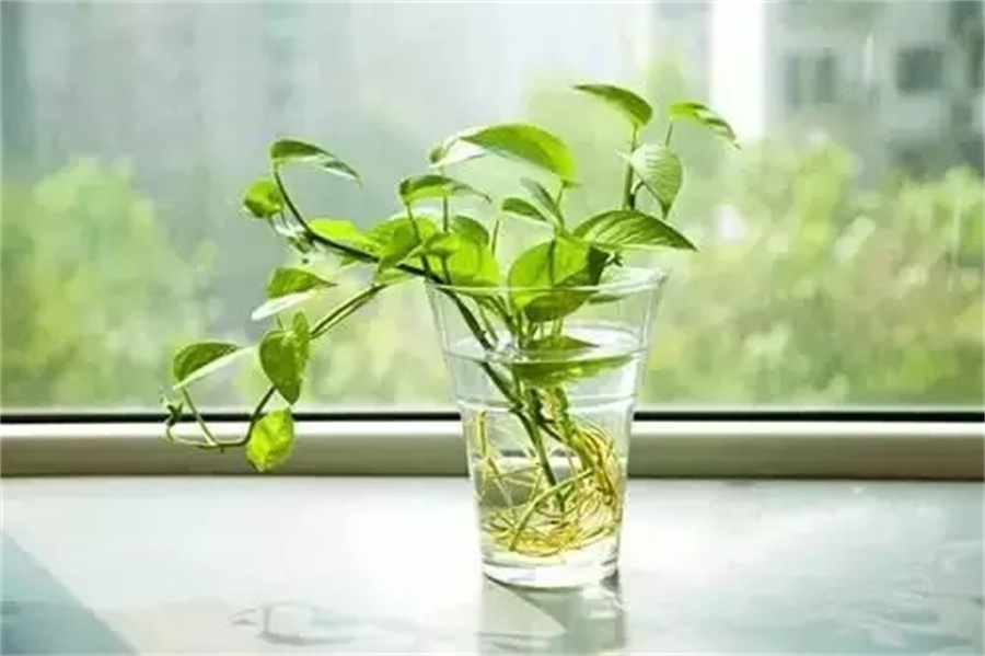 640.webp (8).jpg 640.webp (8).jpg