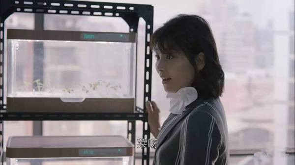 陽(yáng)臺(tái)種菜1.jpg 陽(yáng)臺(tái)種菜1.jpg